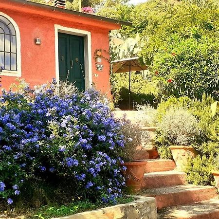 Villa Simo Portoferraio Exterior foto